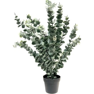 Eucalyptus Konstgjord 50 cm