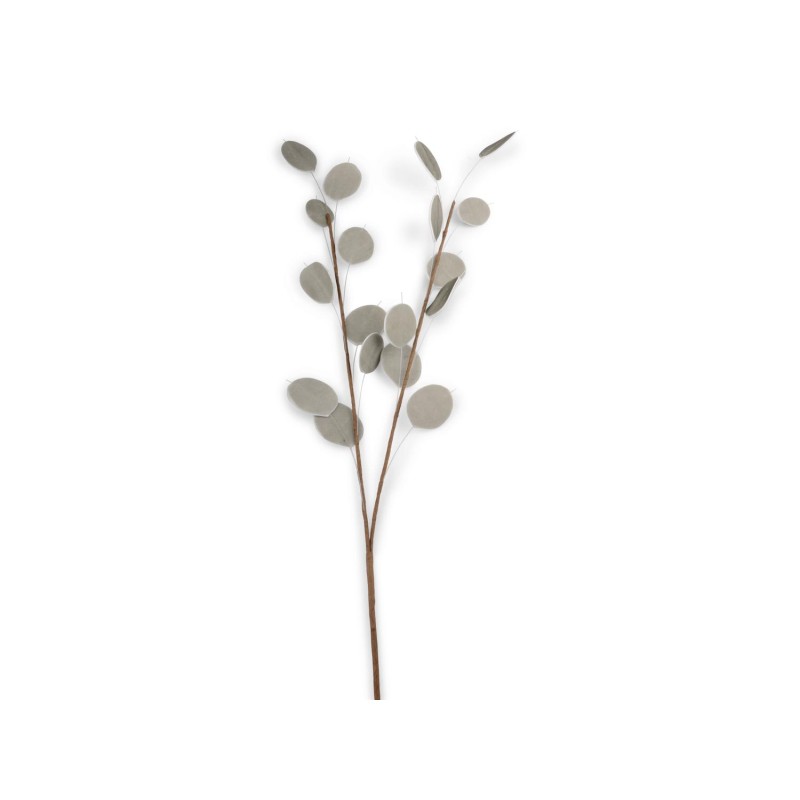 Kvist Penningblomma Grå 72 cm Kvist Penningblomma Grå 72 cm