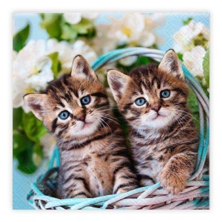 Servetter Kattungar 33x33cm 20-pack