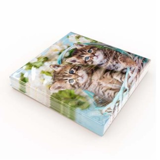Servetter Kattungar 33x33cm 20-pack