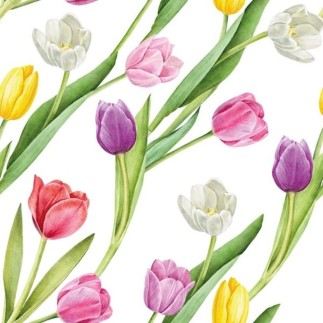 Servetter Tulpaner 33x33 cm 20-pack