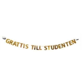 Studentpaket Vit/Guld Tallrikar Servetter Muggar Girlang Student 