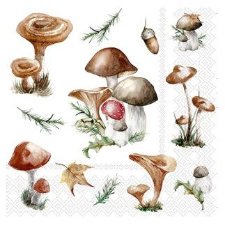 Servett Svampar 20-pack