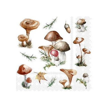 Servett Svampar 20-pack