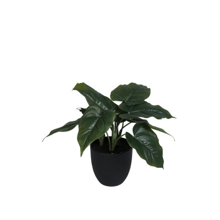 Konstgjord Växt Philodendron 35 cm