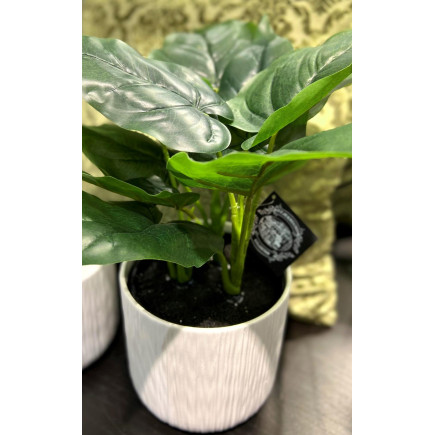 Konstgjord Växt Philodendron 35 cm