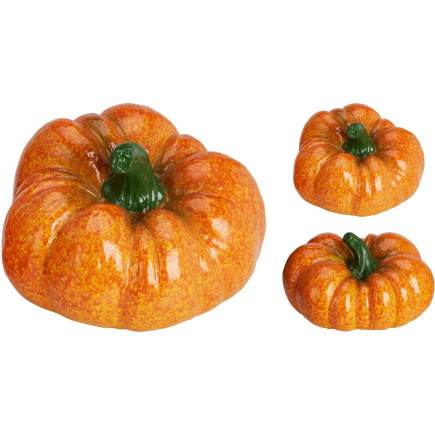 Pumpa Orange 
