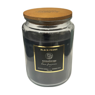 Doftljus Black Snakemod Wooden Wick