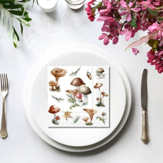 Servett Svampar 20-pack
