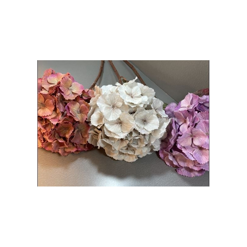 Hortensia Klot Lila 70 cm