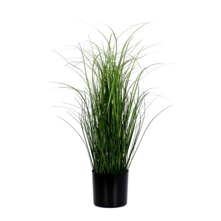 Dekorationsgräs i kruka H55 cm