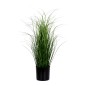 Dekorationsgräs i kruka H55 cm