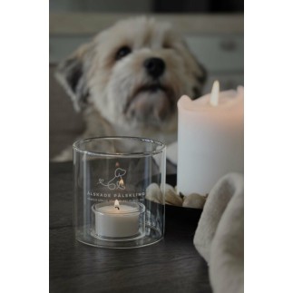 Majas Cottage Lykta Pälskling Glas 8x8 cm