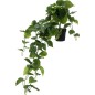 Konstgjord Växt Hängande 80 cm Konstgjord Växt Hängande 80 cm